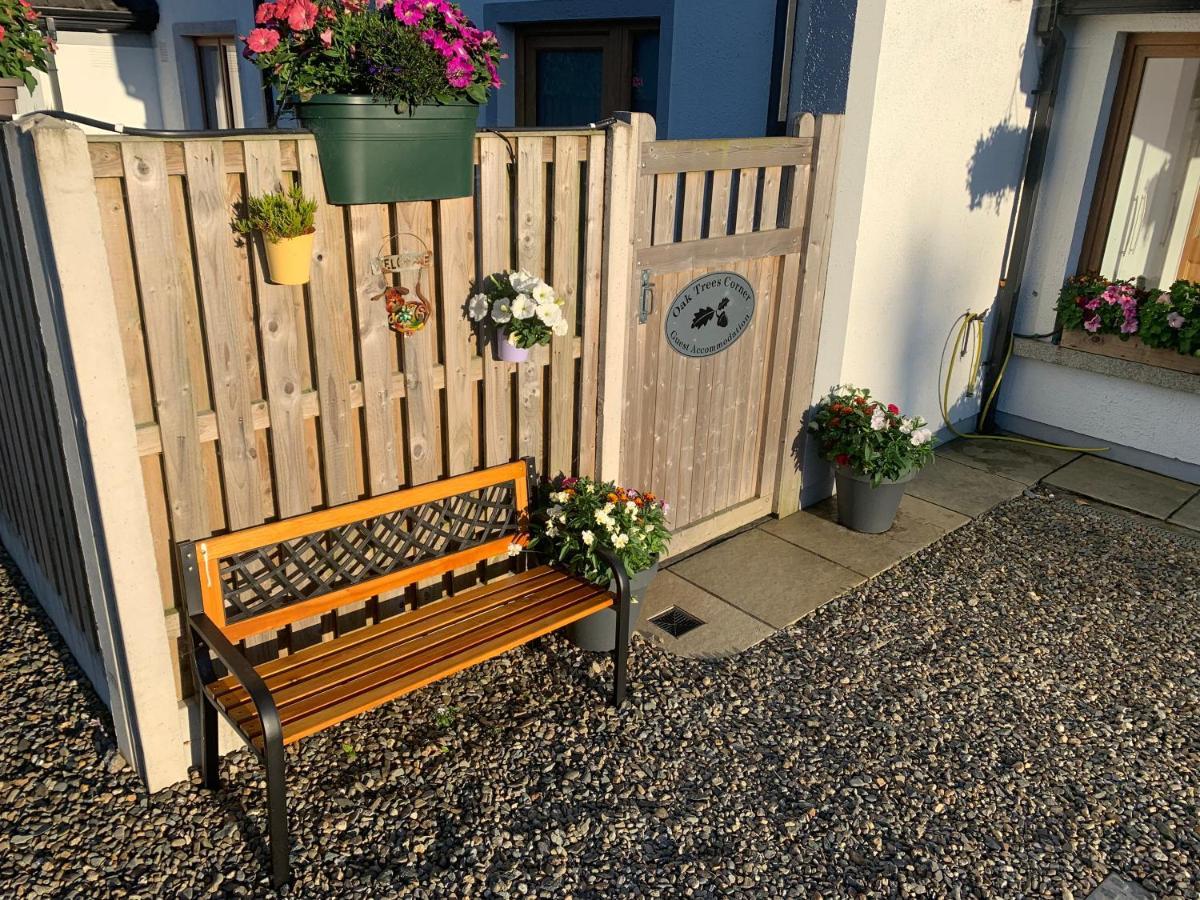 Oak Trees Corner Stylish , Relaxing , Getaway Leilighet Wicklow Eksteriør bilde
