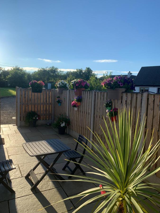 Oak Trees Corner Stylish , Relaxing , Getaway Leilighet Wicklow Eksteriør bilde